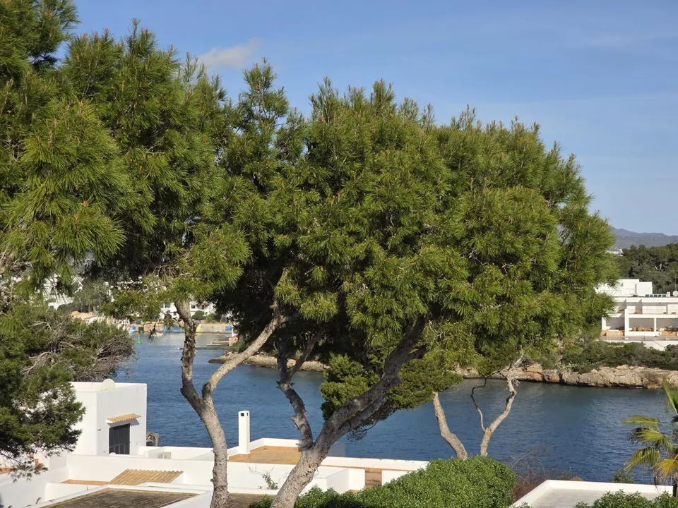 Penthouse i La Costa (Santanyi), Mallorca - foto 2